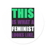 This is What A Feminist Looks Like stickers