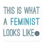 This is What a Feminist Looks Like Stickers