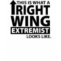 This is what a Right Wing Extremist Looks Like t-shirts