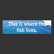 This is where the fish lives. bumper stickers