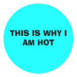 THIS IS WHY I AM HOT STICKERS