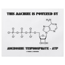 This Machine Is Powered By Adenosine Triphosphate