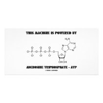 This Machine Is Powered By Adenosine Triphosphate