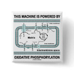This Machine Powered By Oxidative Phosphorylation Pins