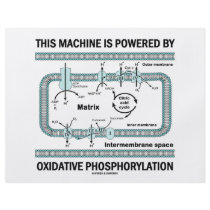This Machine Powered By Oxidative Phosphorylation