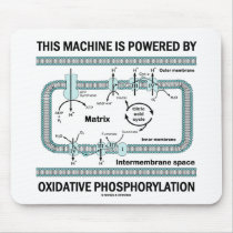 This Machine Powered By Oxidative Phosphorylation