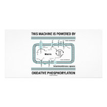 This Machine Powered By Oxidative Phosphorylation