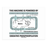 This Machine Powered By Oxidative Phosphorylation Post Card