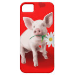 This Pig's in Love iPhone 5 Case