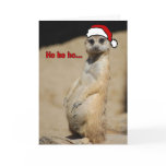 This Pregnant Meerkat Santa Momma Card