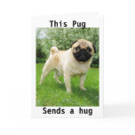 "THIS PUG SENDS A HUG" THANK YOU cards