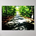 This Road Leads to Despair Poster posters