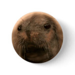 This Seal is so cute and lifelike Pinback Button
