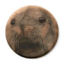 This Seal is so cute and lifelike Refrigerator Magnets