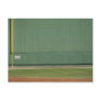 This wall is known as 'the Green Monster.'Foul Post Cards