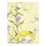 Thistle and Bee on Goldenrod Postcard