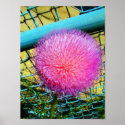 thistle canvas print