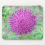 Thistle Flower Mousepad