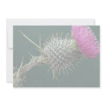 Thistle head personalized invitation