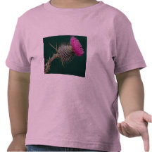 Thistle head pink flower tee shirt
