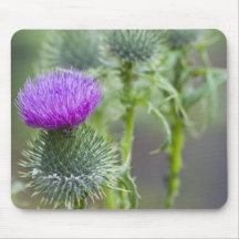 Thistle Mouse Mats