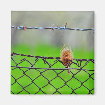 Thistle Refrigerator Magnet