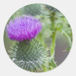 Thistle Sticker