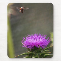 Thistle w Honey Bee in Flight Mouse Pads