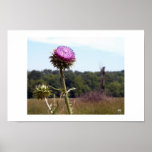 Thistle with farm backdrop posters