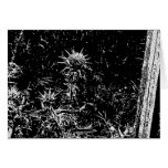 thistles greeting card