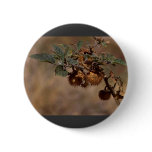 Thorny Seed Pod buttons