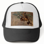 Thorny Seed Pod hats