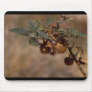 Thorny Seed Pod Mouse Mat