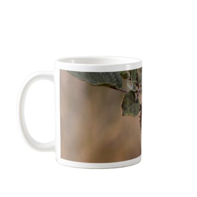 Thorny Seed Pod Coffee Mugs by lifesphere