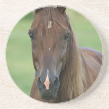Thoroughbred Horse Coasters