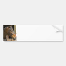 Thoroughbred Horses Bumper Sticker