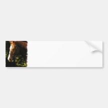 Thoroughbred Mount Bumper Stickers