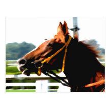 Thoroughbred Race Horse Postcard
