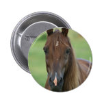 Thoroughbred Race Horse Round Button