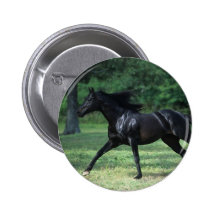 Thoroughbred Running Button