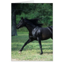 Thoroughbred Running Card