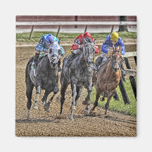 Thoroughbred Square Magnet