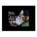 Those Eyes (cat) ACEO Art Trading Card Postcard