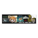 Those that came First bumper stickers