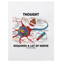 Thought Requires A Lot Of Nerve (Synapse)