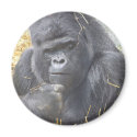 Thoughtful Gorilla Magnet