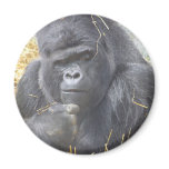 Thoughtful Gorilla Magnet
