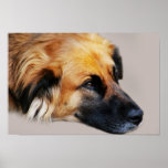 Thoughtful posters
