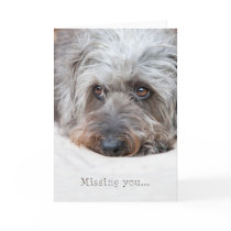 Thoughtful Scruffy Pup - Missing You cards
