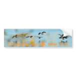Thousand Islands Geese Bumper Sticker bumper stickers